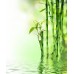 Hidrolat Bamboo Water (Apa Florala Bambus)